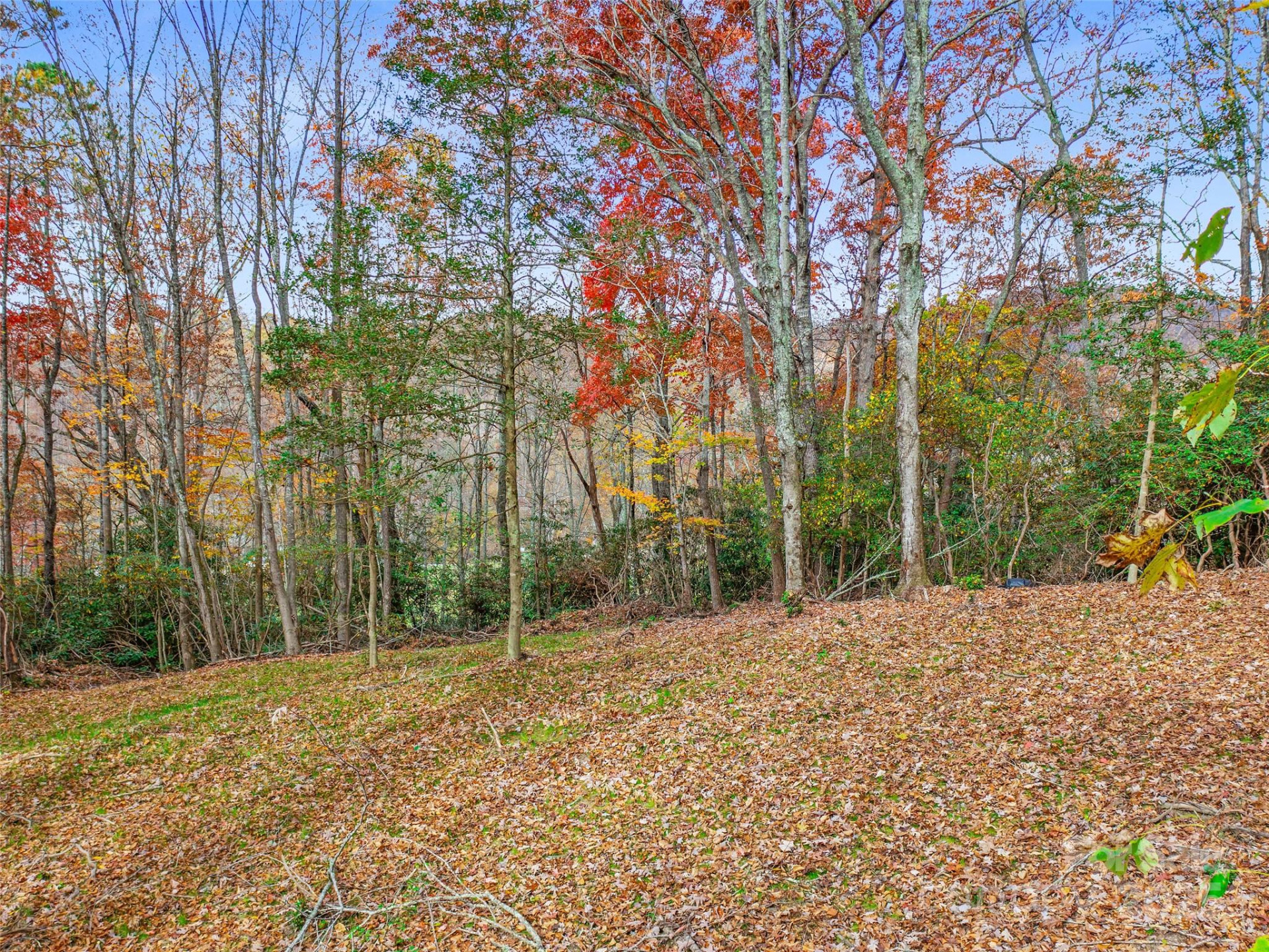 384 Flat Creek Road - Photo 28