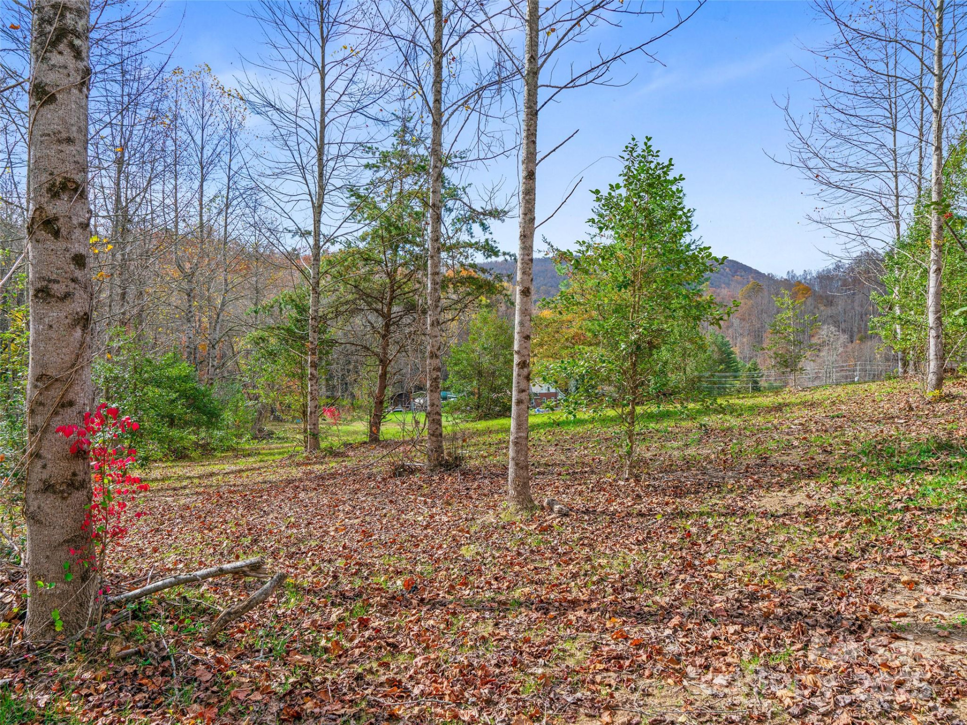 384 Flat Creek Road - Photo 29