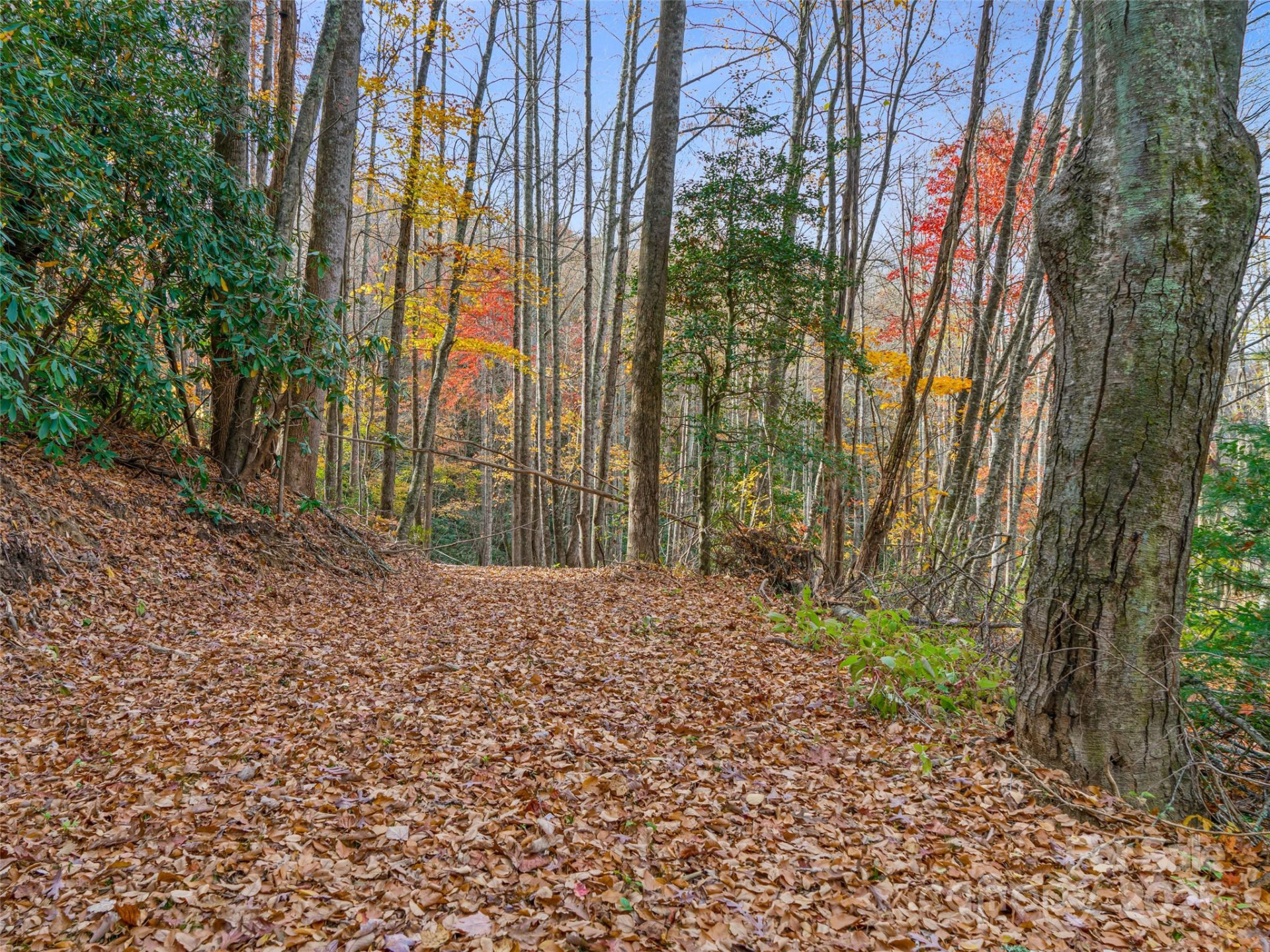 384 Flat Creek Road - Photo 30