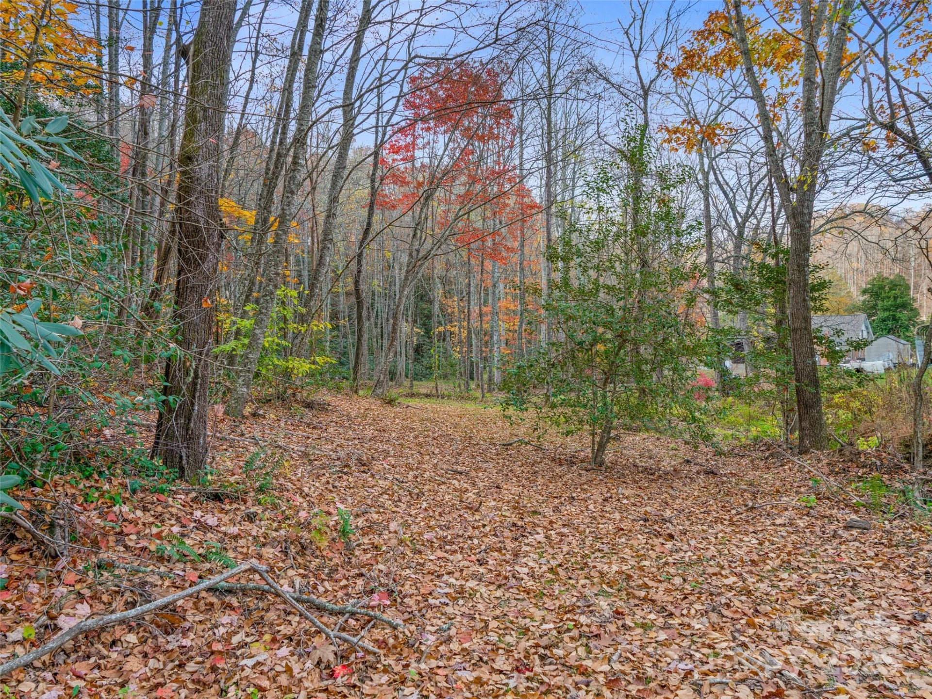 384 Flat Creek Road - Photo 32