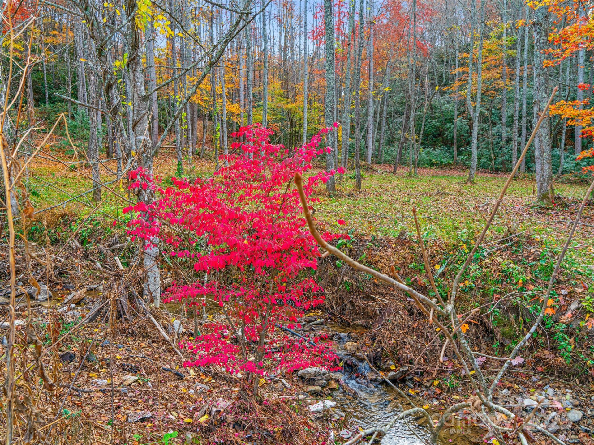 384 Flat Creek Road - Photo 33