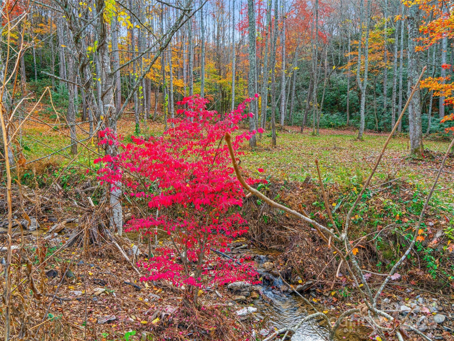 384 Flat Creek Road - Photo 33