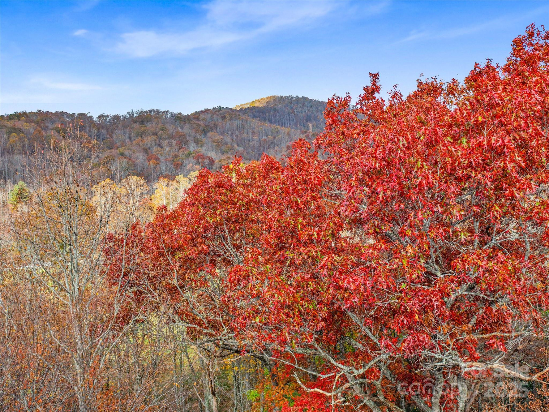 384 Flat Creek Road - Photo 35