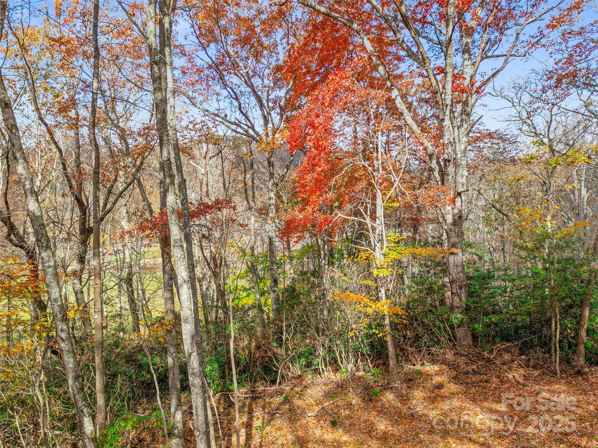 384 Flat Creek Road - Photo 36