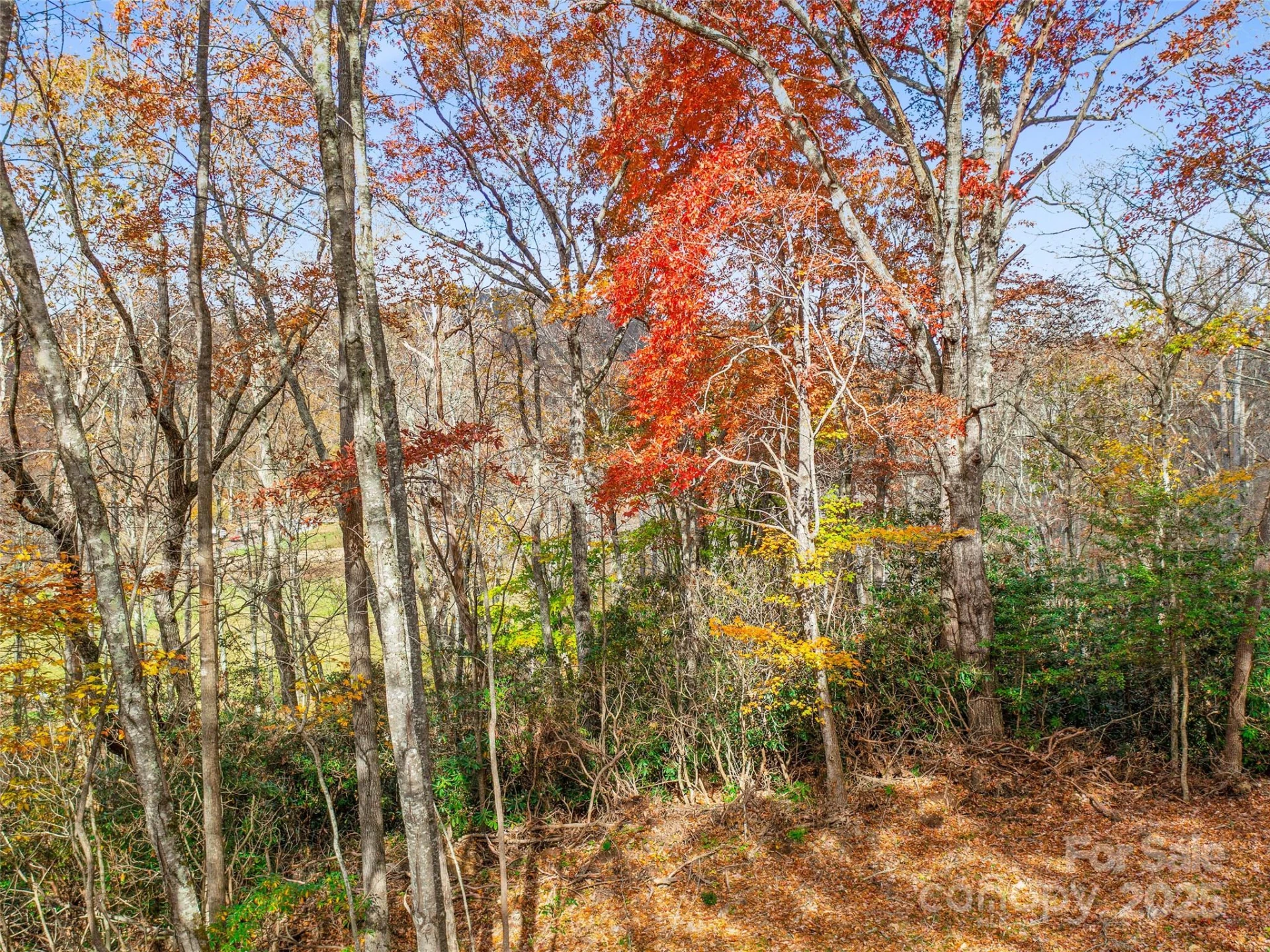 384 Flat Creek Road - Photo 36