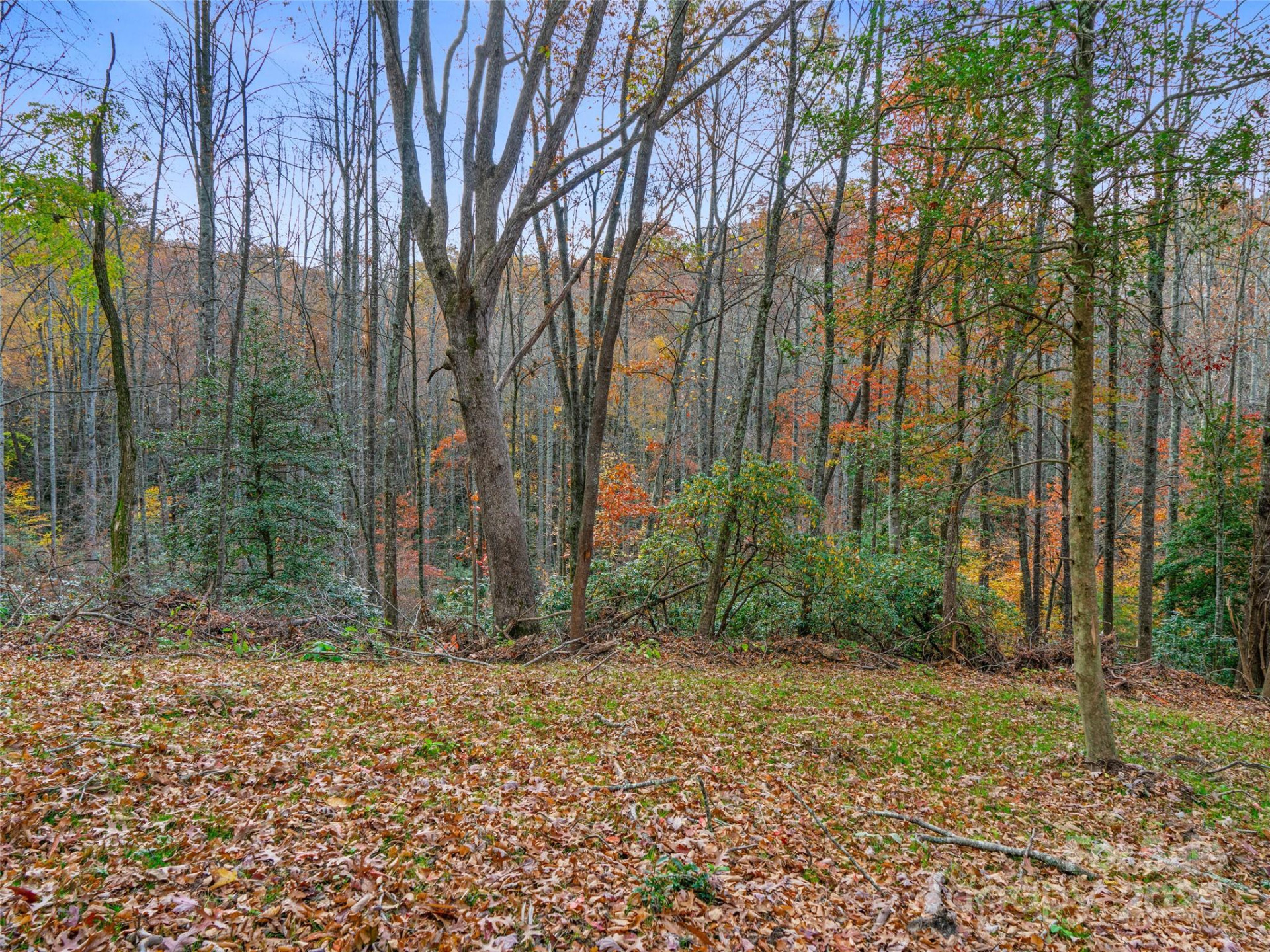 384 Flat Creek Road - Photo 37