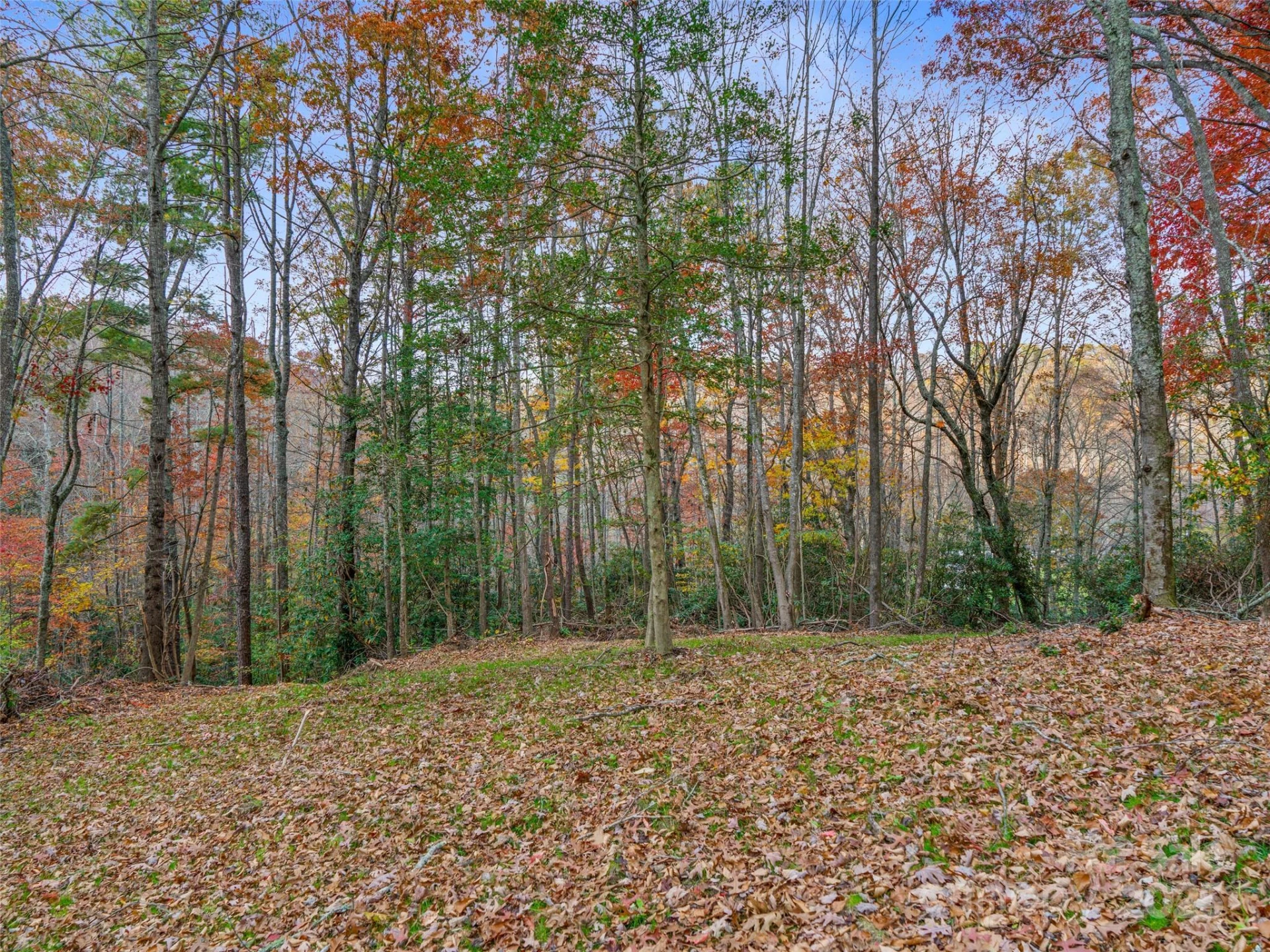 384 Flat Creek Road - Photo 38