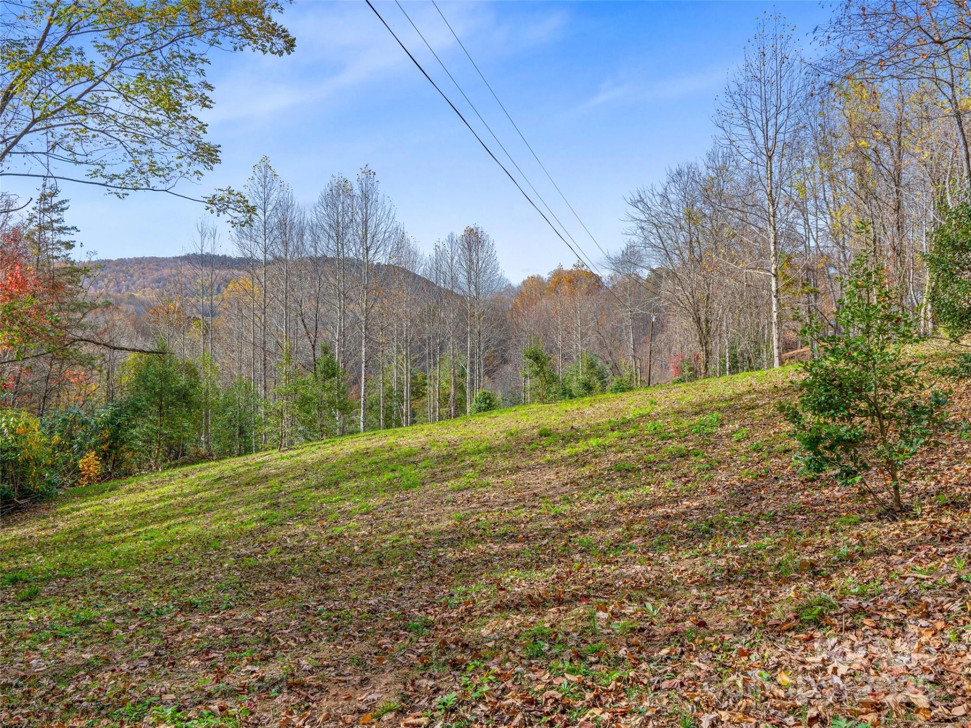384 Flat Creek Road - Photo 39