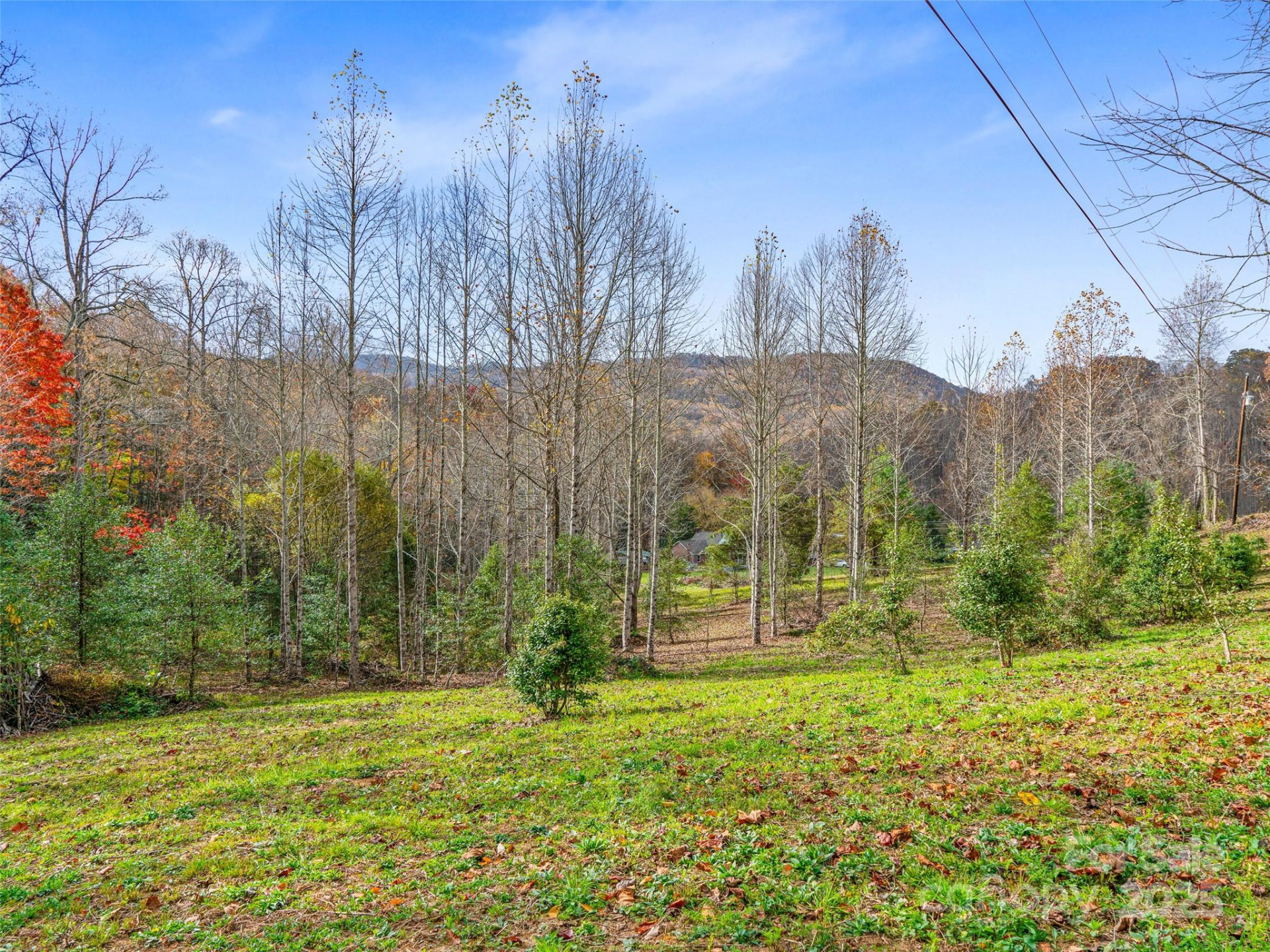 384 Flat Creek Road - Photo 40