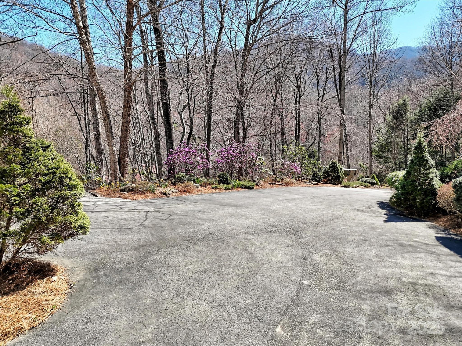 78 Aster Lane - Photo 46