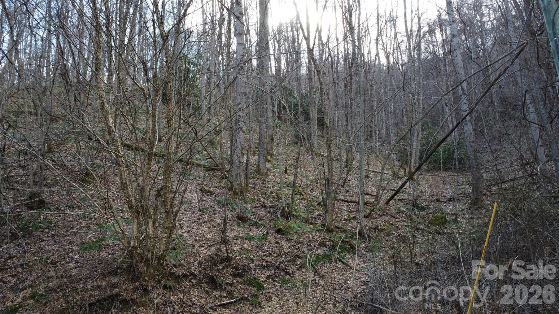 24 Village Lane - Photo 12