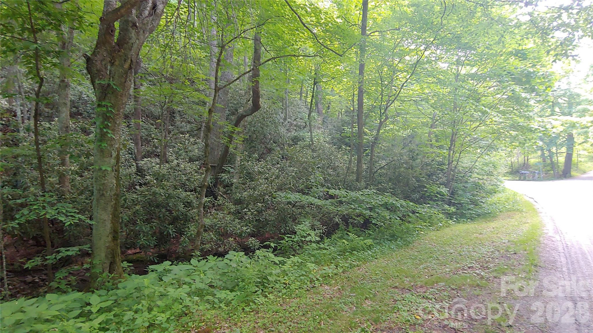 24 Village Lane - Photo 5