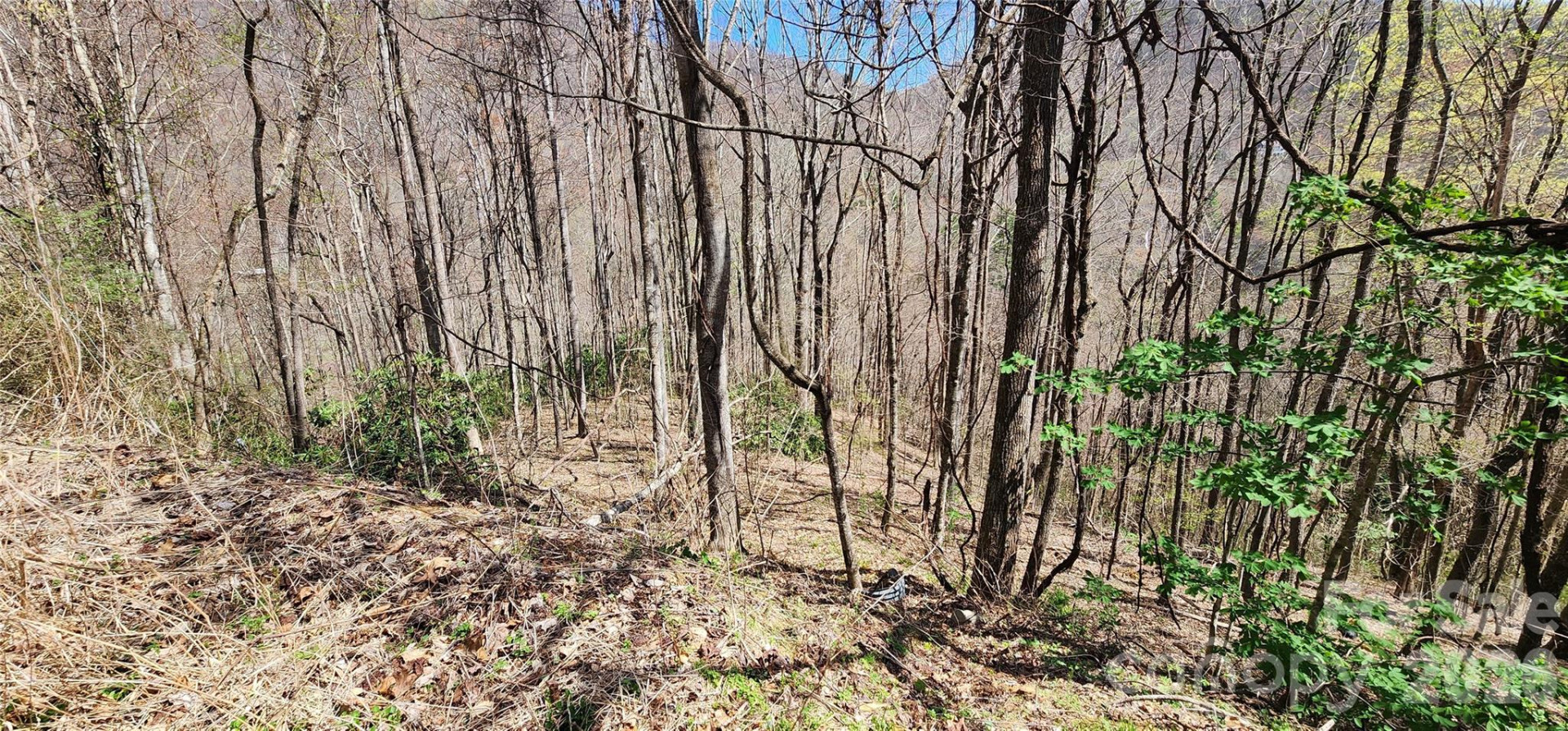 24 Village Lane - Photo 7