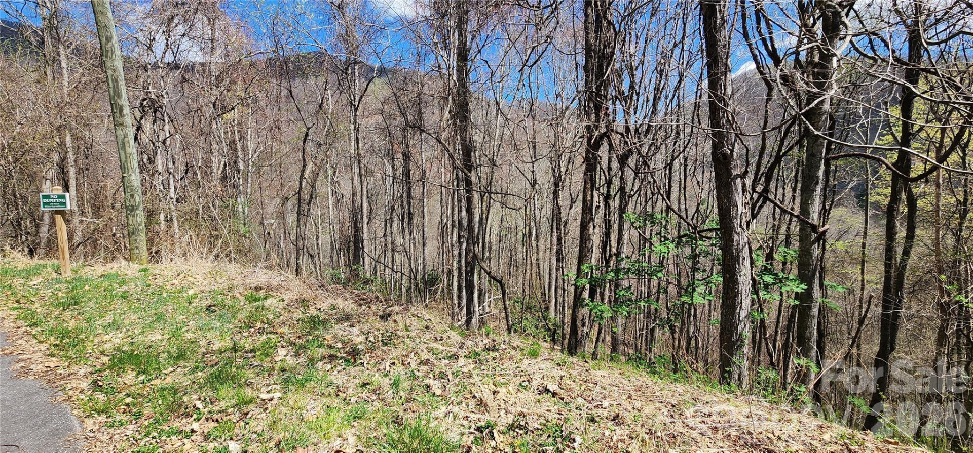 24 Village Lane - Photo 8