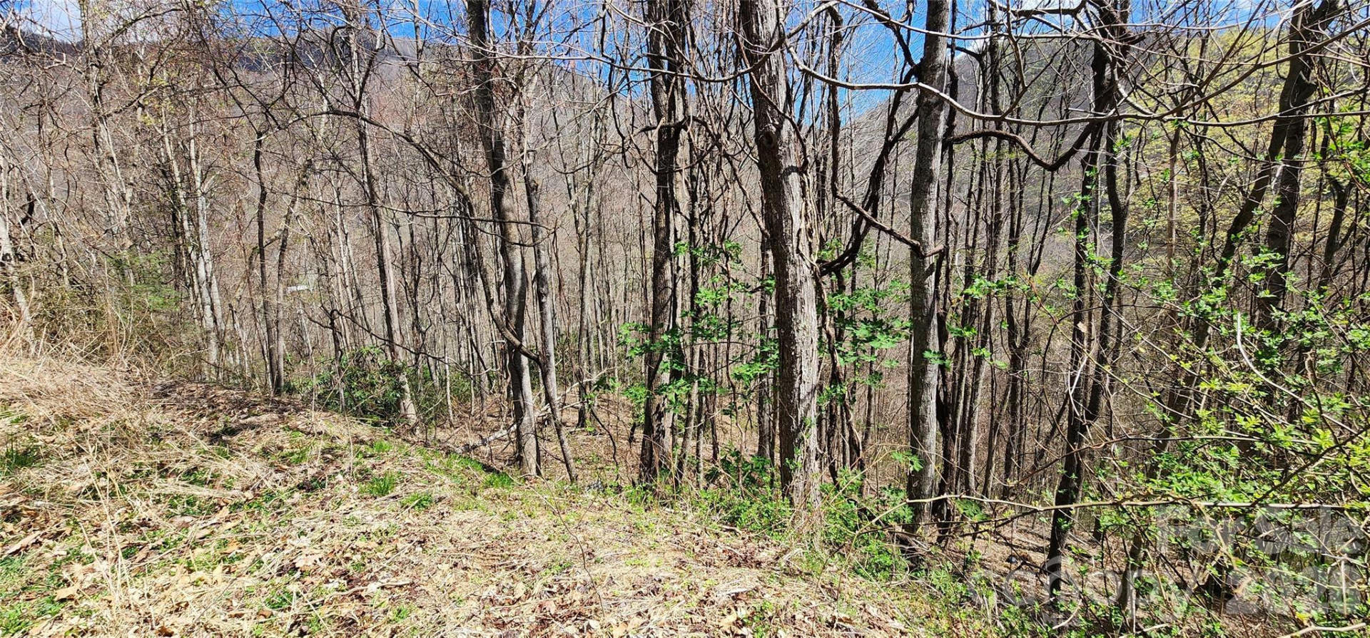 24 Village Lane - Photo 9