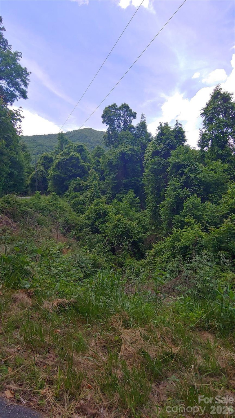 24 Village Lane - Photo 10