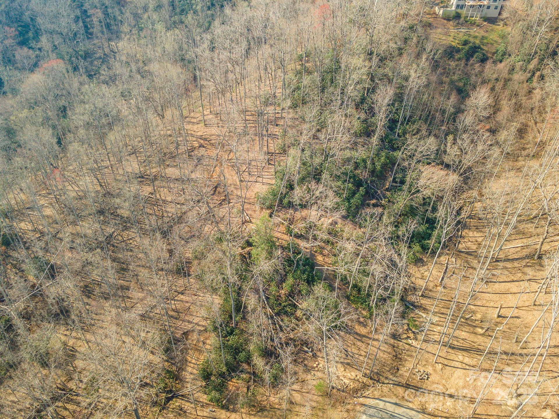 329 Carriage Crest Drive - Photo 33