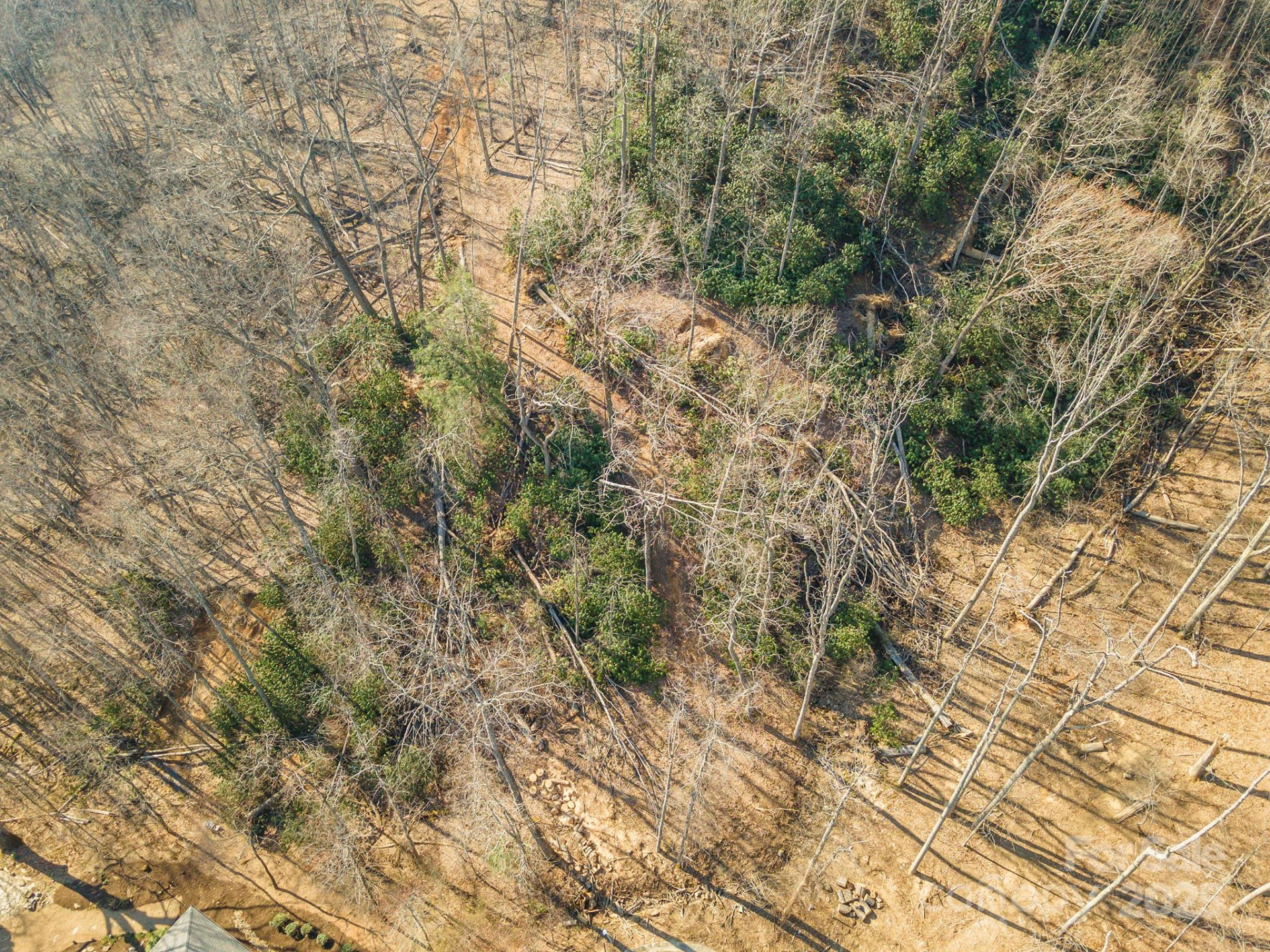 329 Carriage Crest Drive - Photo 34