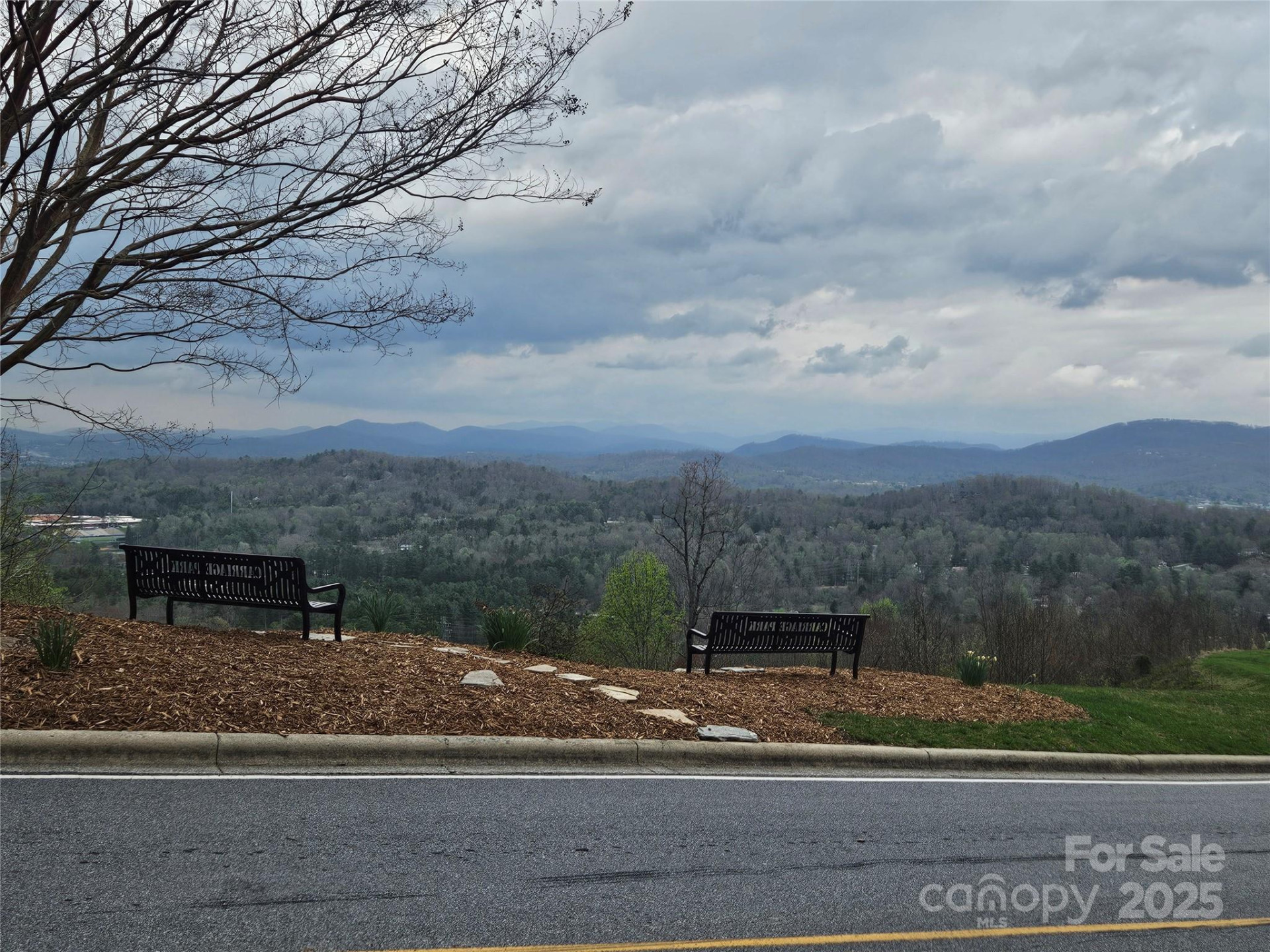 329 Carriage Crest Drive - Photo 7