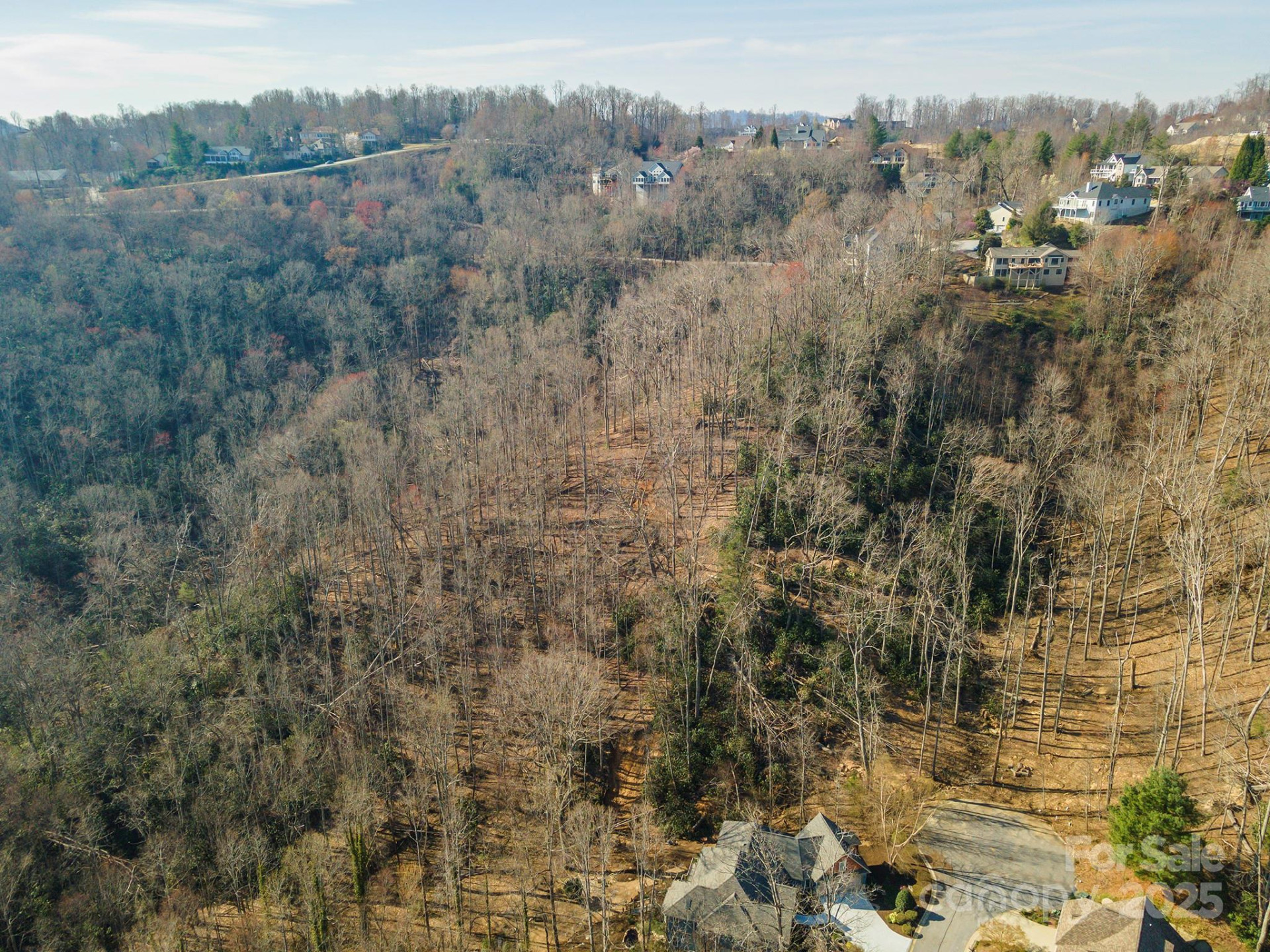 329 Carriage Crest Drive - Photo 9