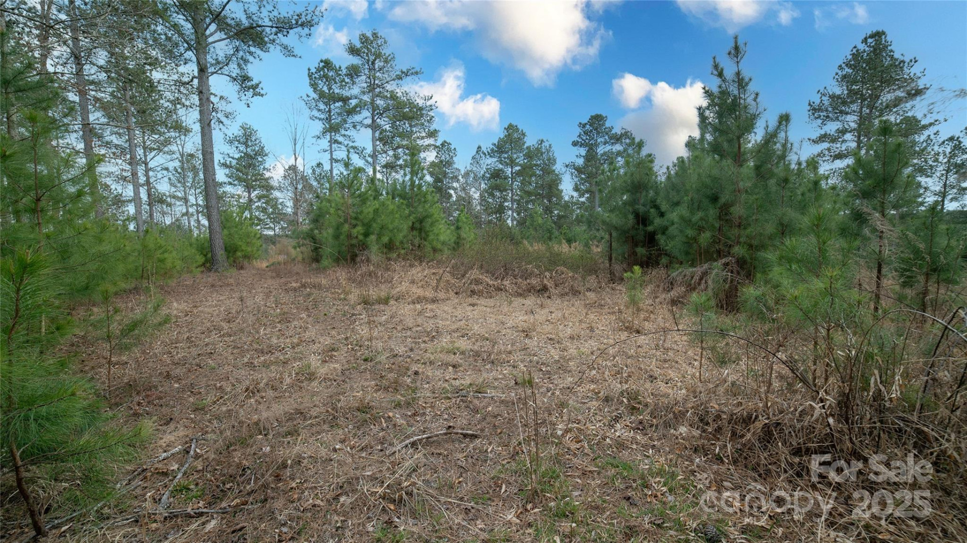 6355 McGalliard Pointe Drive #5 - Photo 9