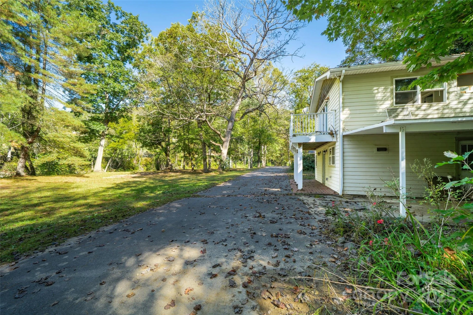 61 Riverbend Road - Photo 2