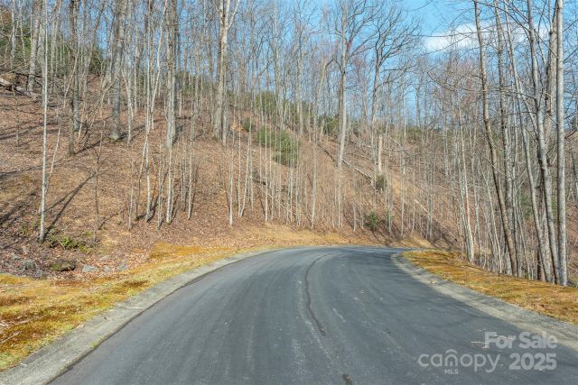 0 Shining Rock Path, Horse Shoe, NC, 28742