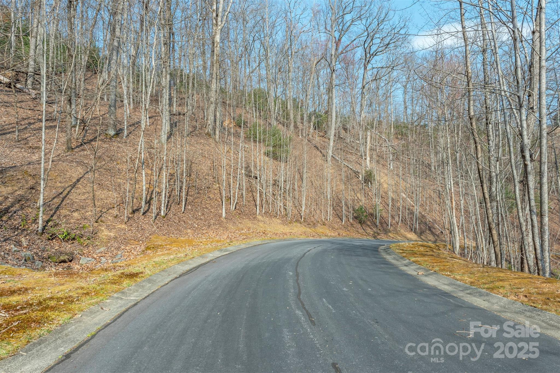 0 Shining Rock Path #11