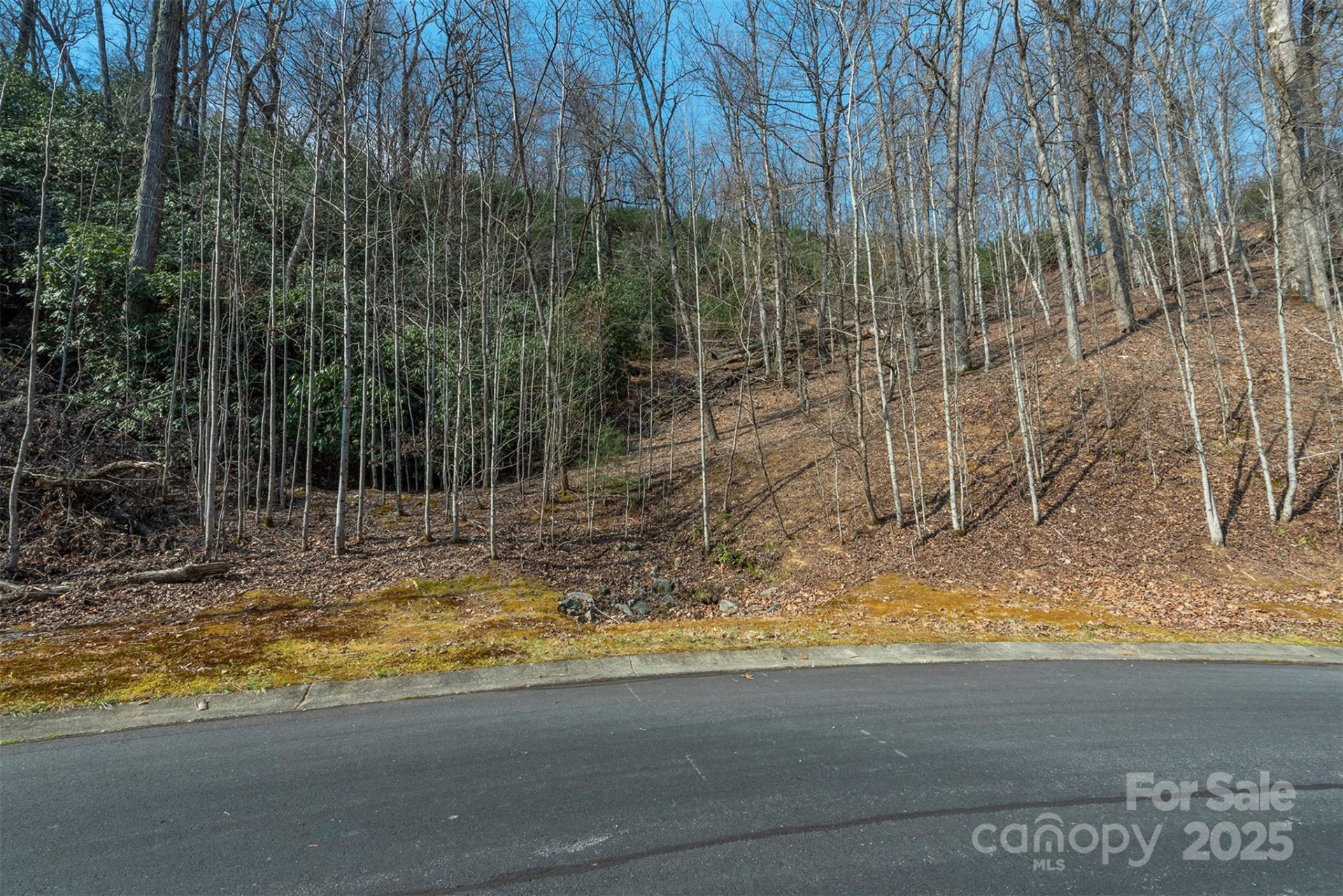 0 Shining Rock Path #11 - Photo 2