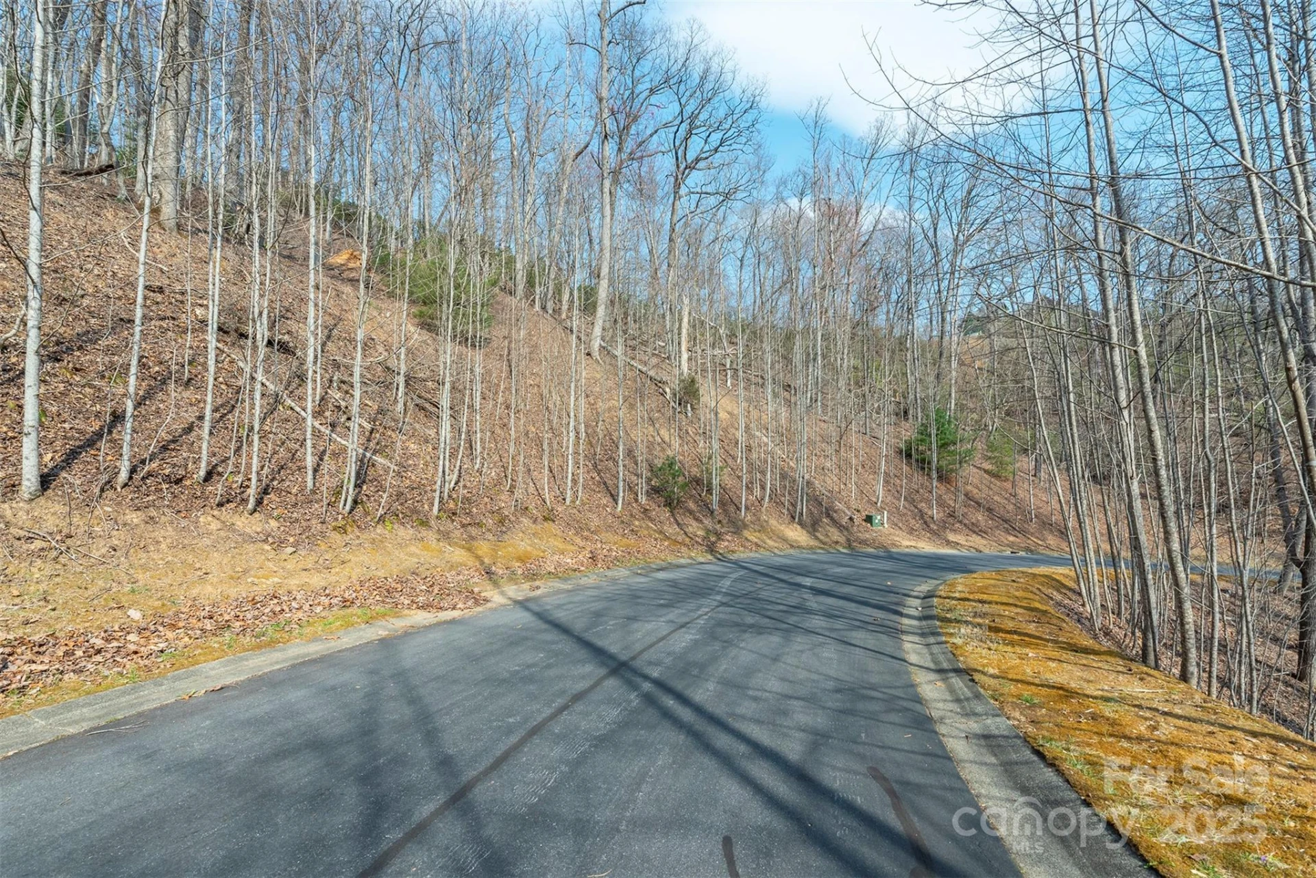 0 Shining Rock Path #11 - Photo 3