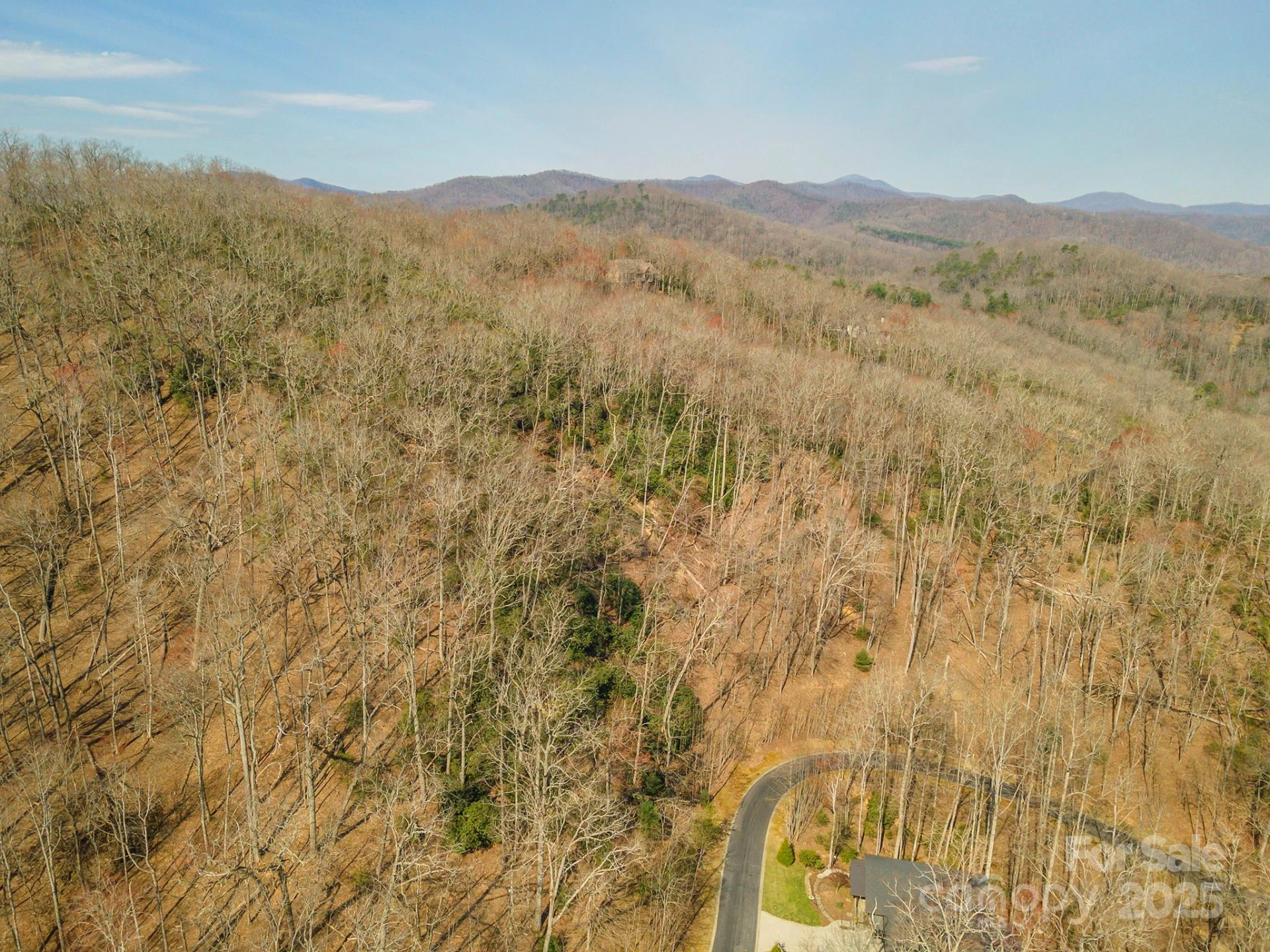 0 Shining Rock Path #11 - Photo 24