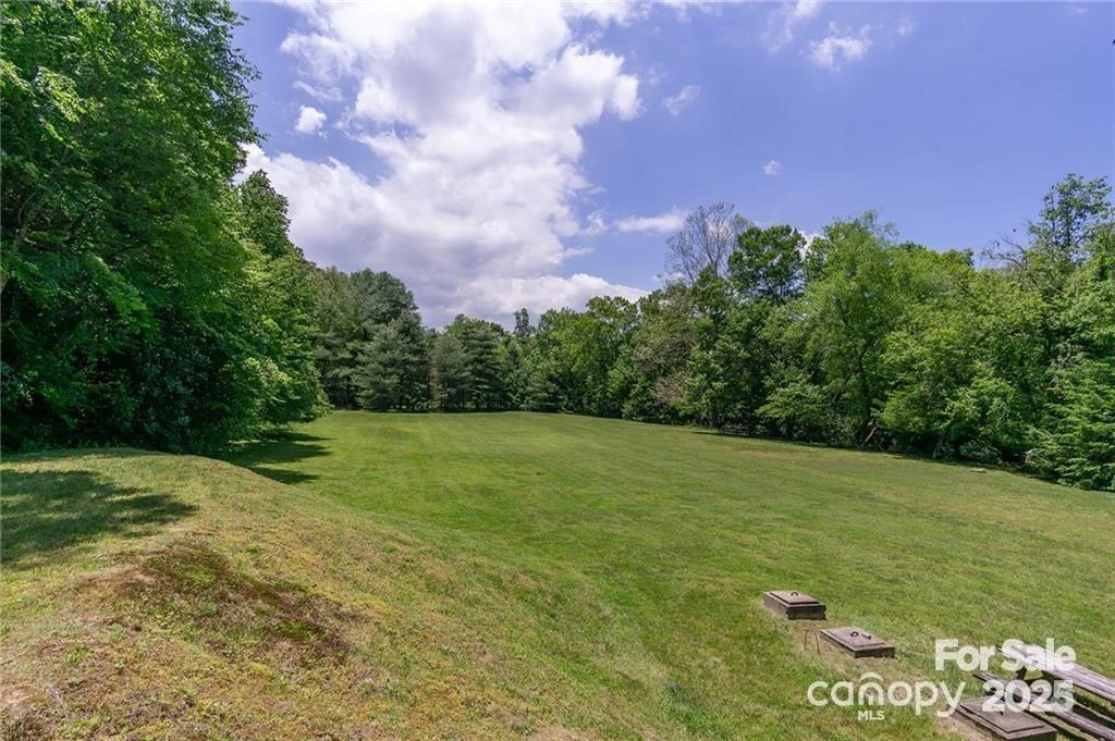 0 Shining Rock Path #11 - Photo 29