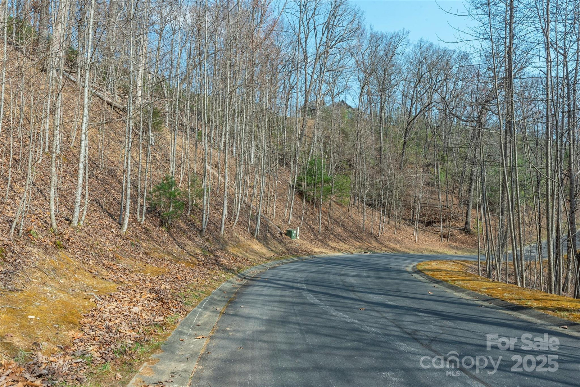 0 Shining Rock Path #11 - Photo 4