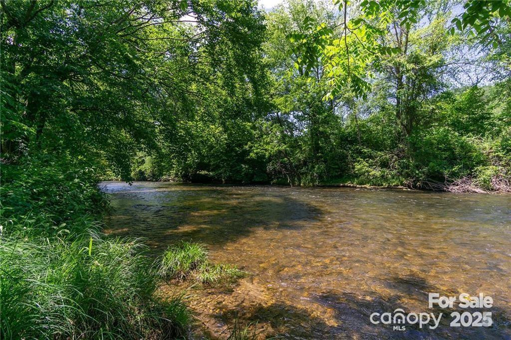 0 Shining Rock Path #11 - Photo 31