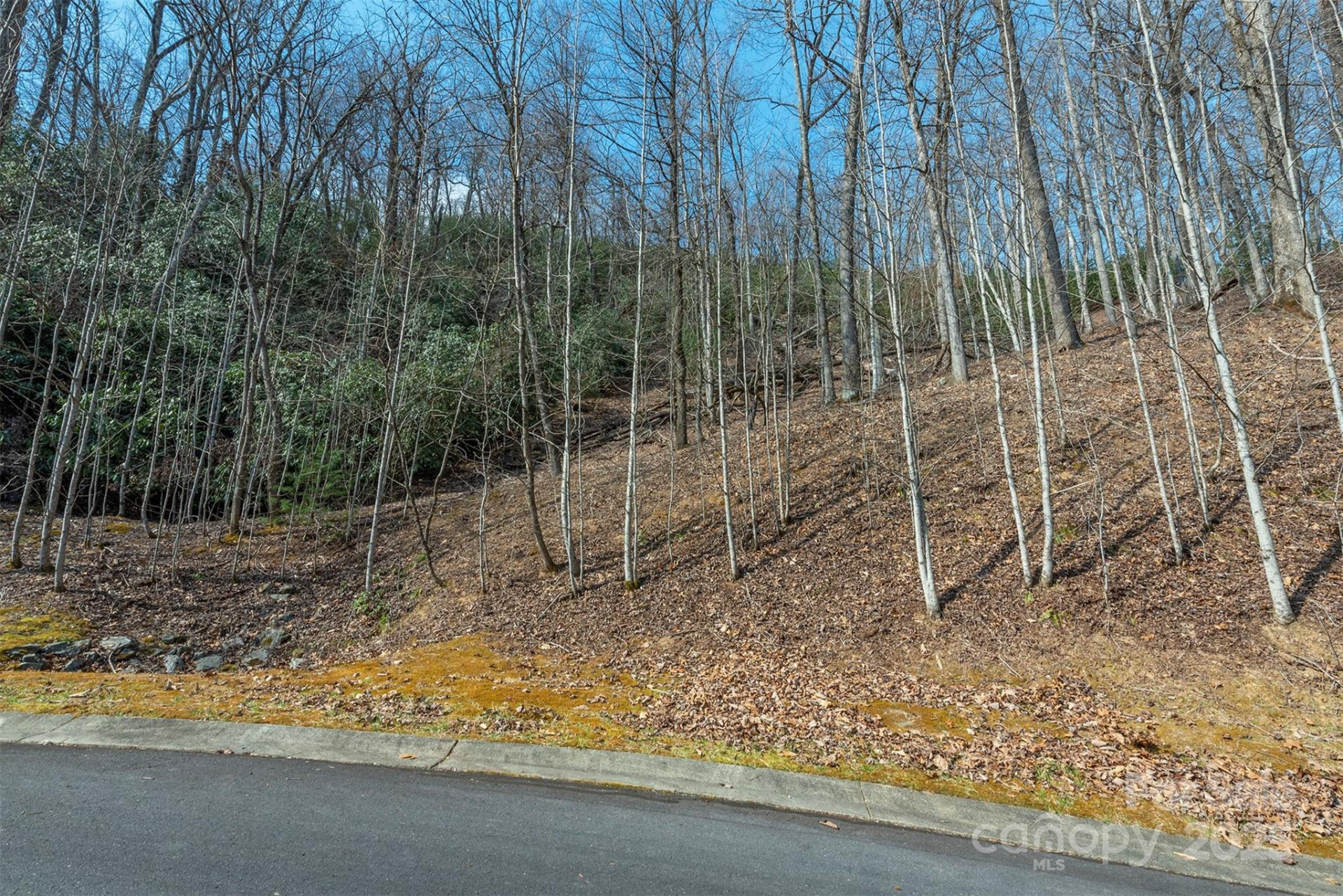 0 Shining Rock Path #11 - Photo 5