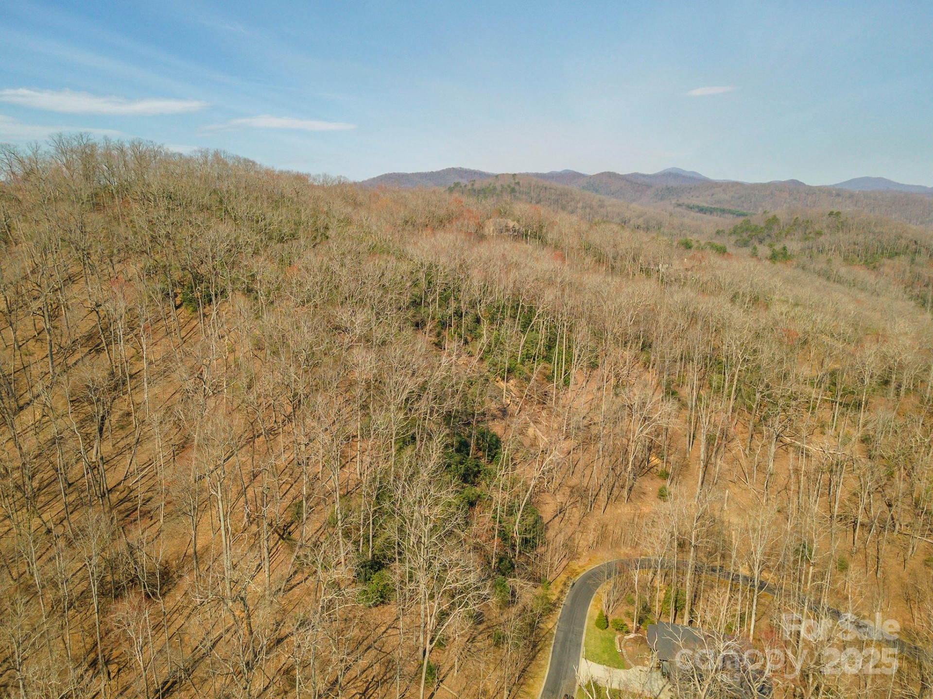 0 Shining Rock Path #11 - Photo 9