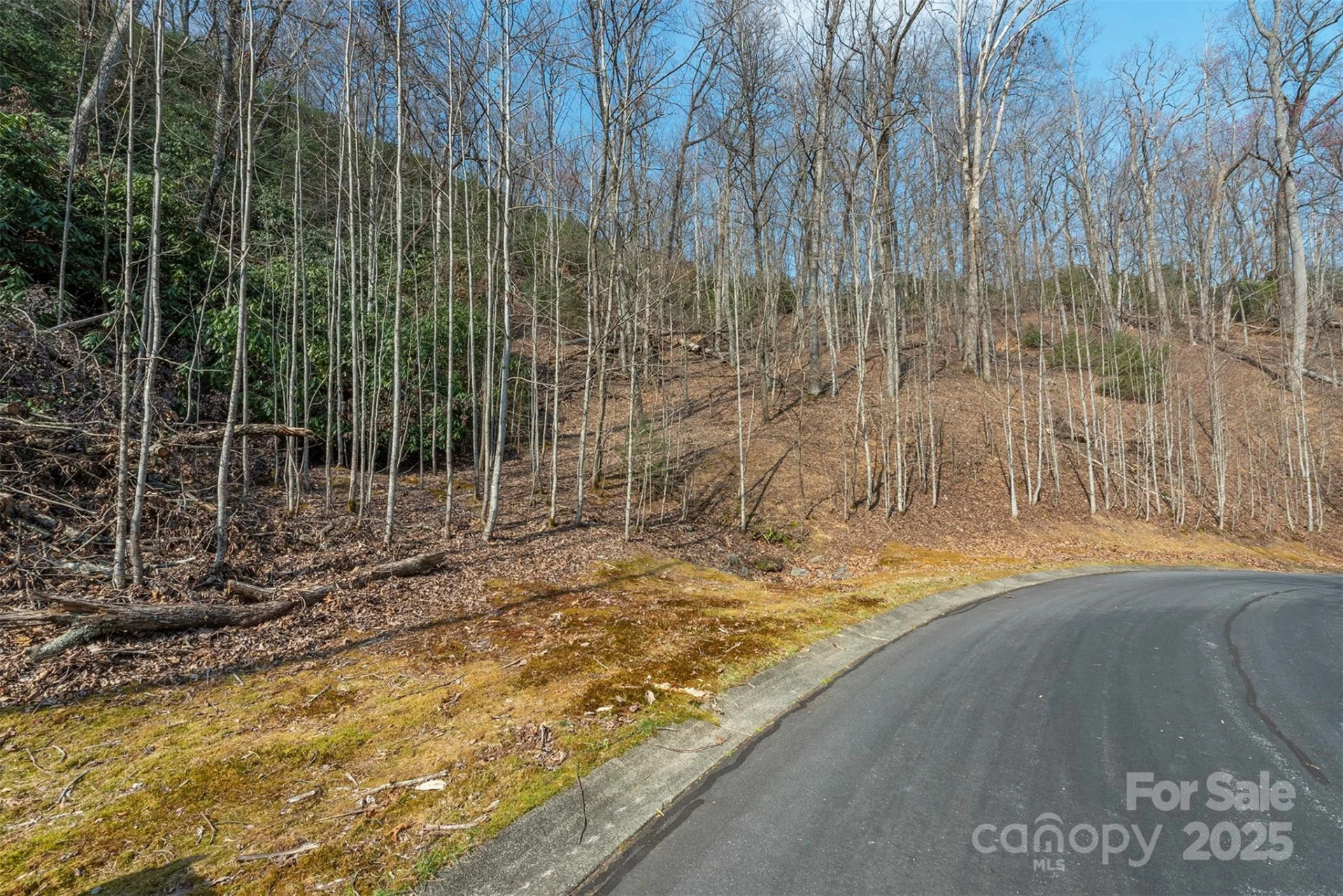 0 Shining Rock Path #12