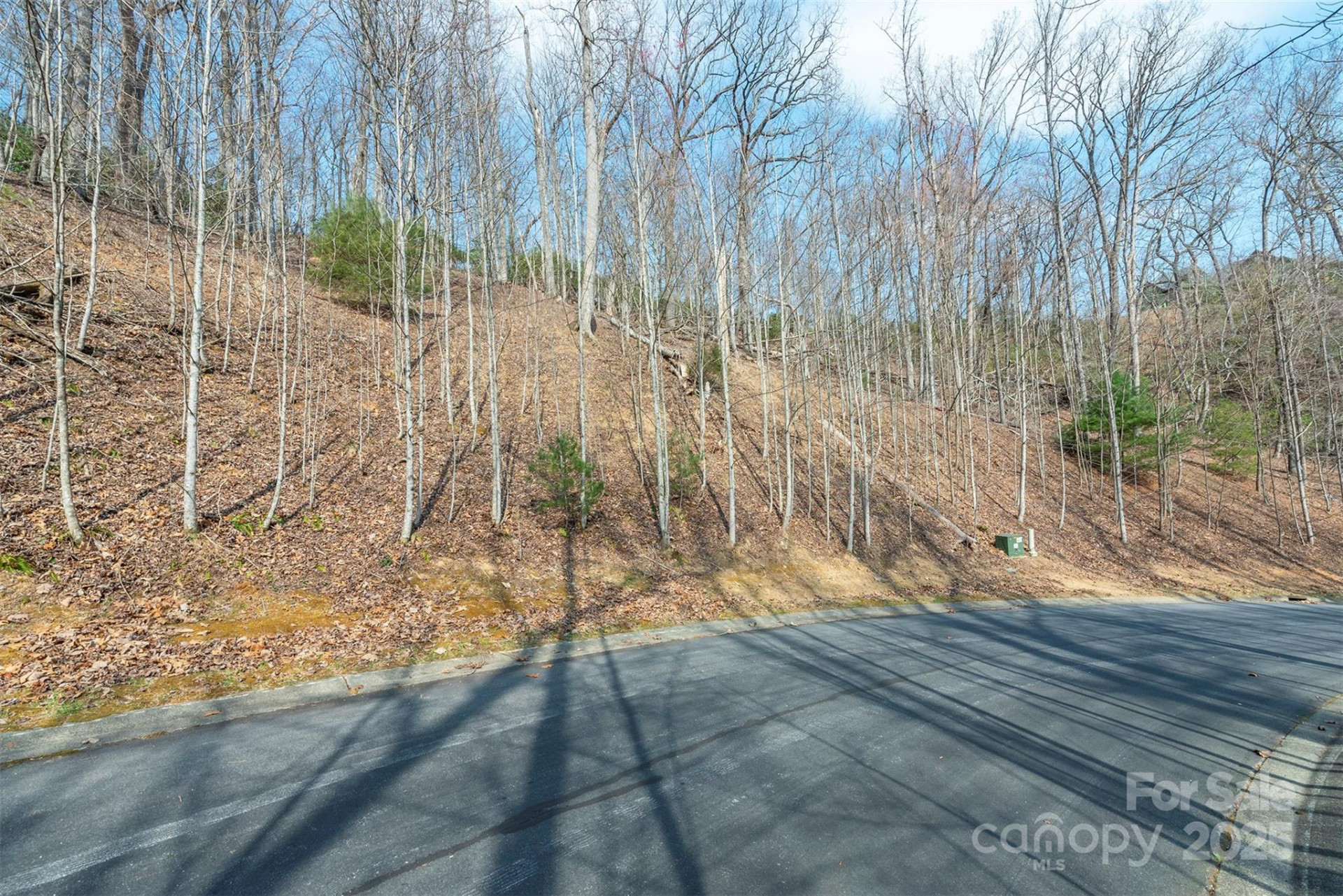 0 Shining Rock Path #12 - Photo 2