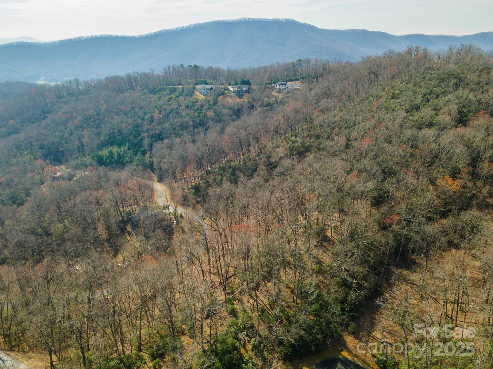 0 Shining Rock Path #12 - Photo 13
