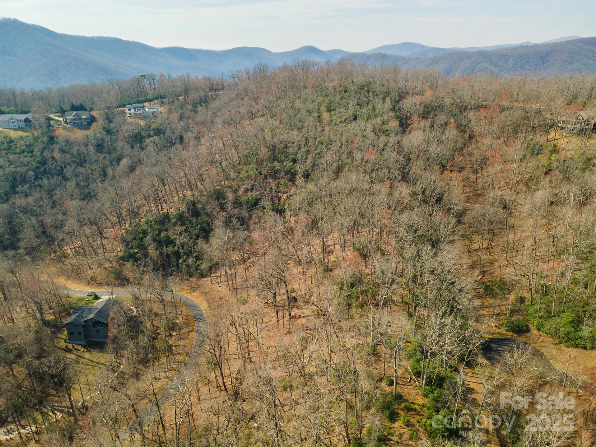 0 Shining Rock Path #12 - Photo 15