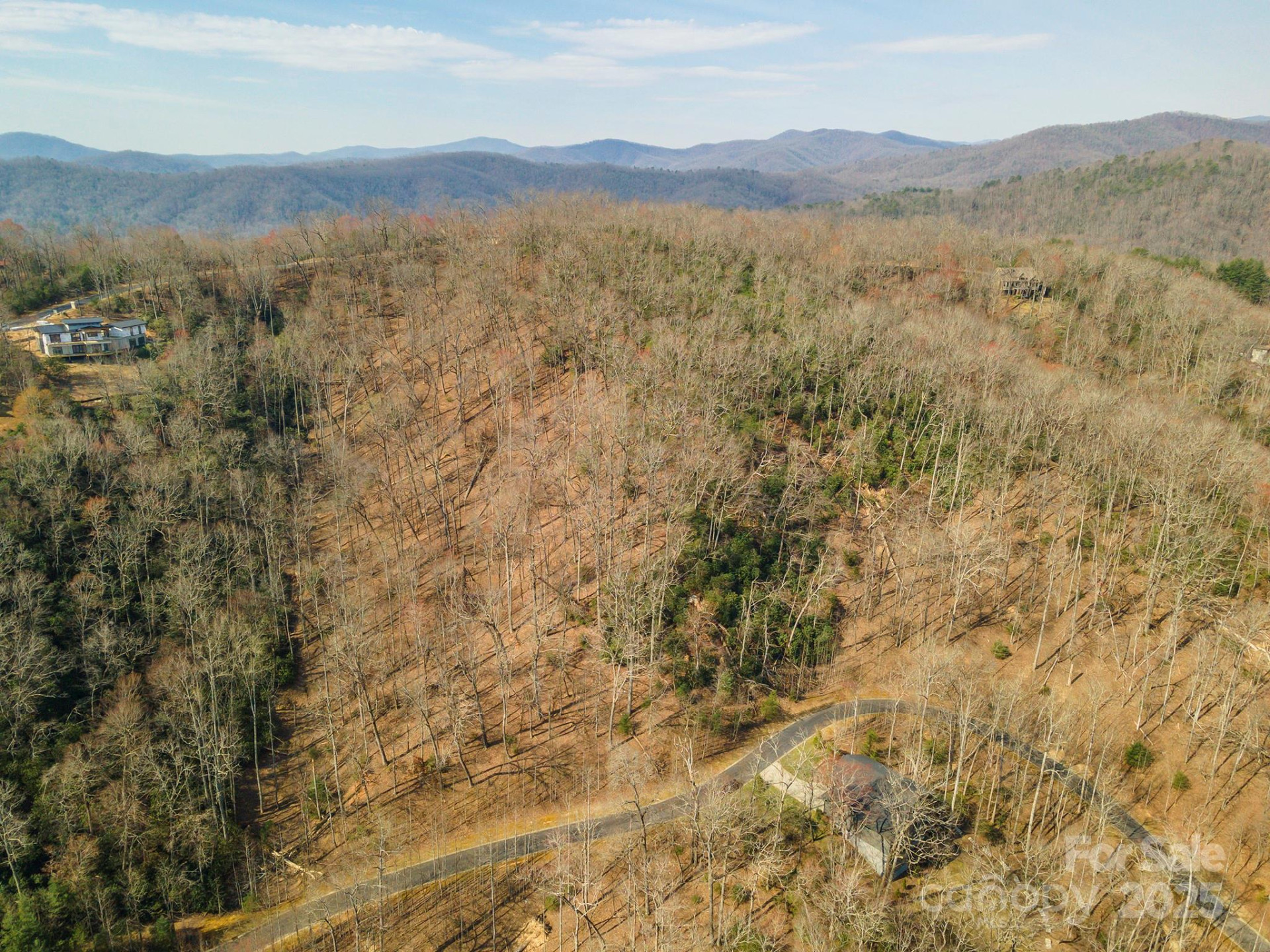 0 Shining Rock Path #12 - Photo 16