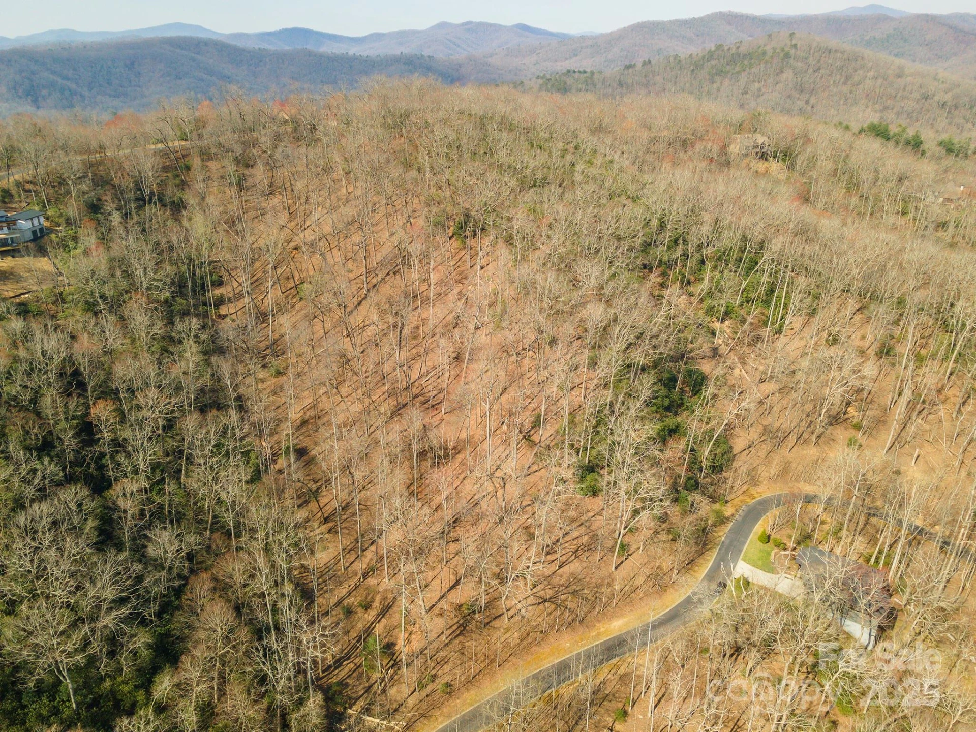 0 Shining Rock Path #12 - Photo 17