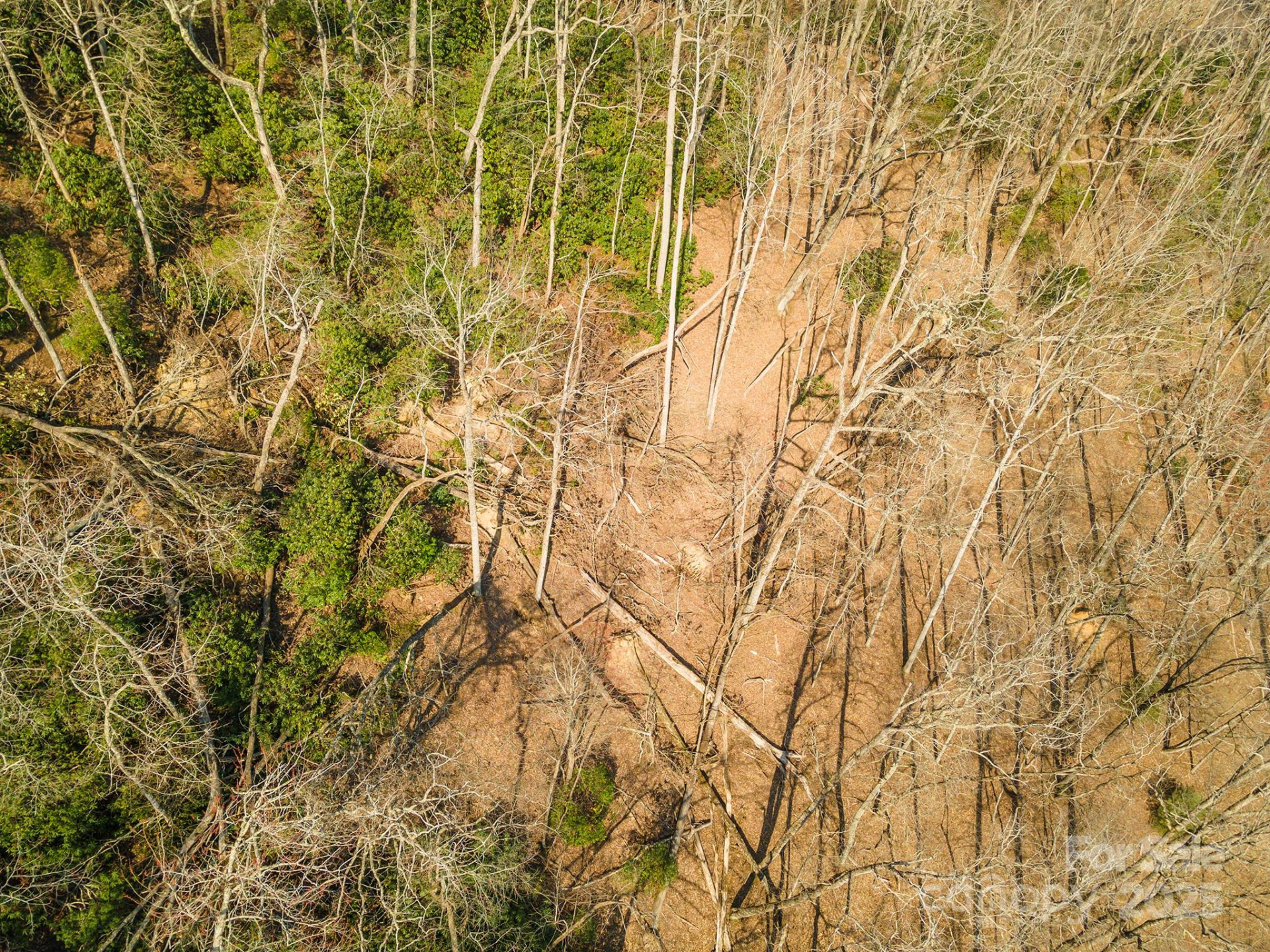 0 Shining Rock Path #12 - Photo 18