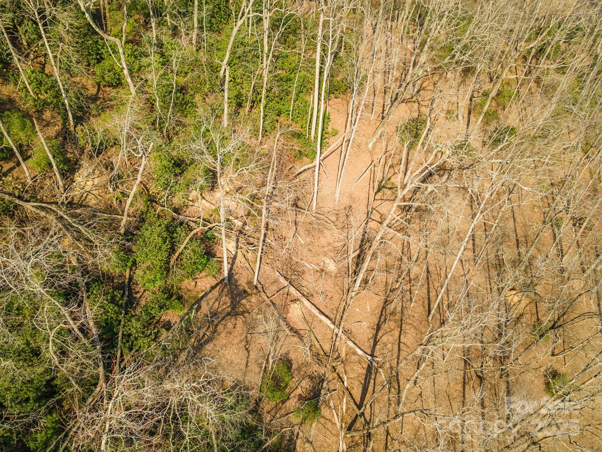 0 Shining Rock Path #12 - Photo 18