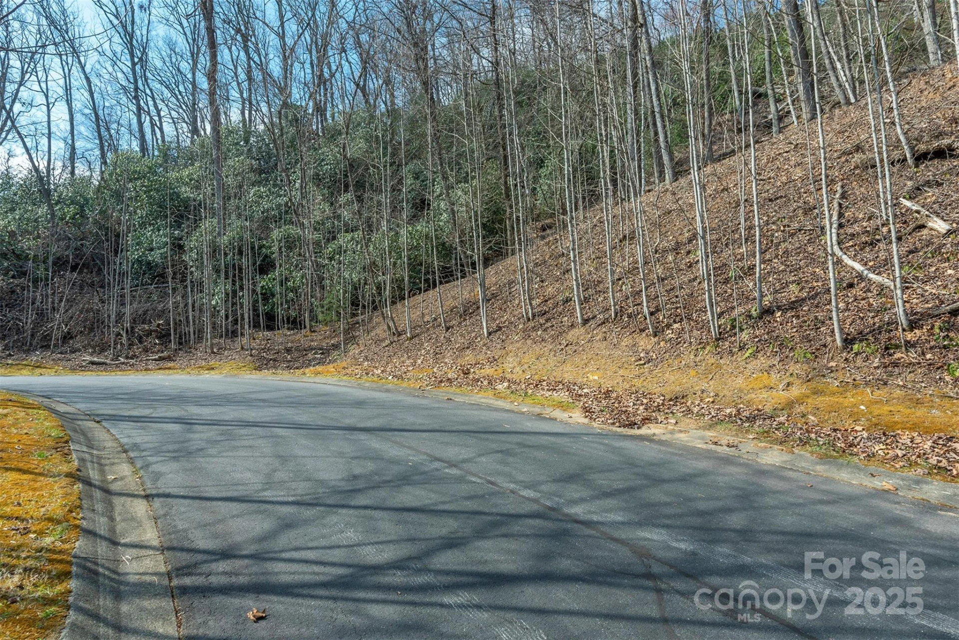 0 Shining Rock Path #12 - Photo 3