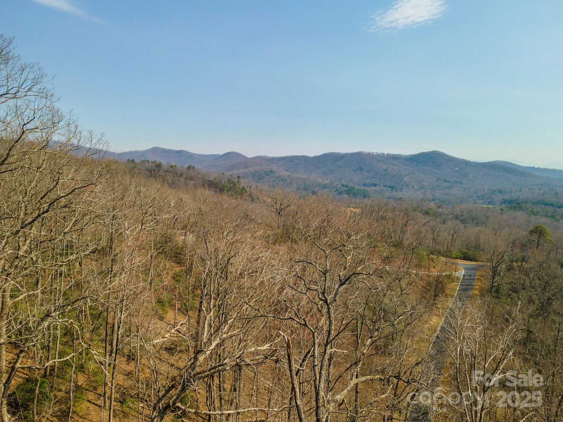 0 Shining Rock Path #12 - Photo 21