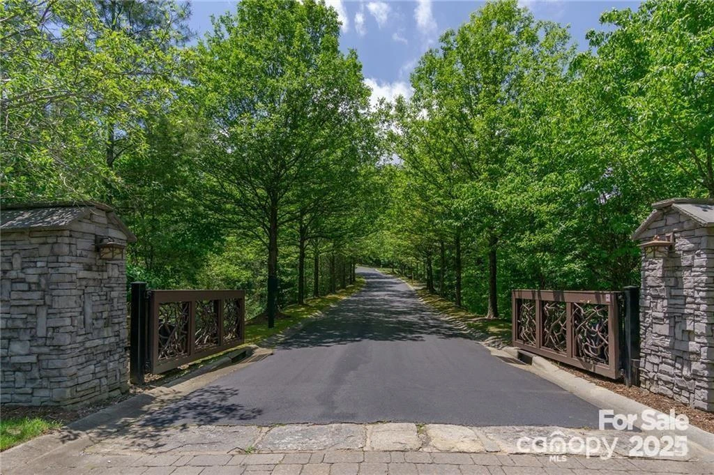 0 Shining Rock Path #12 - Photo 24