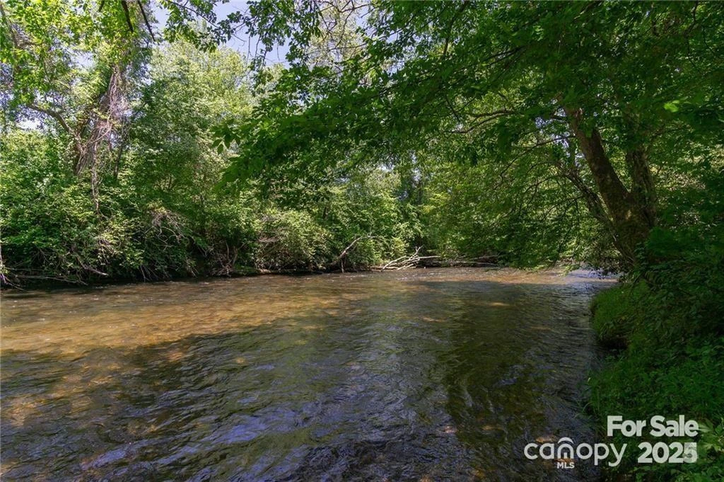 0 Shining Rock Path #12 - Photo 28