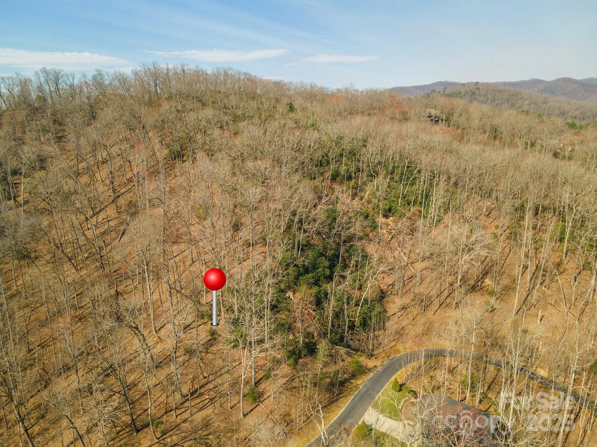 0 Shining Rock Path #12 - Photo 4