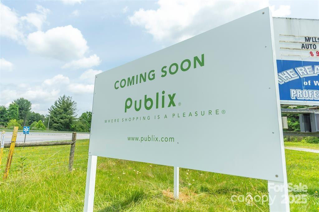 0 Shining Rock Path #12 - Photo 31